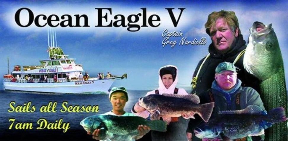 ocean-eagle-banner-WITH-GrEG-top-cropped